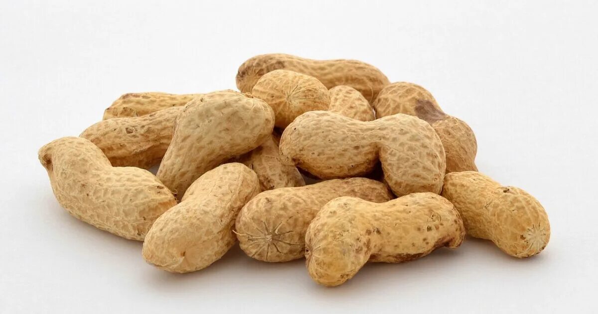 Peanuts 1