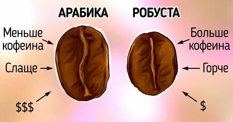 Робуста буйнакск