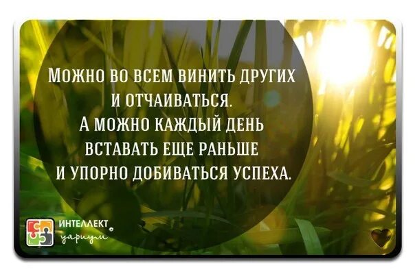Не вините других. Не вините других. Тому кто винит других предстоит длинная. Цитаты во всем винит других людей. Человек который винит во всем других.