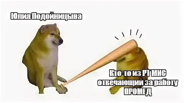 Собака с битой мем bonk (random post) Fandom