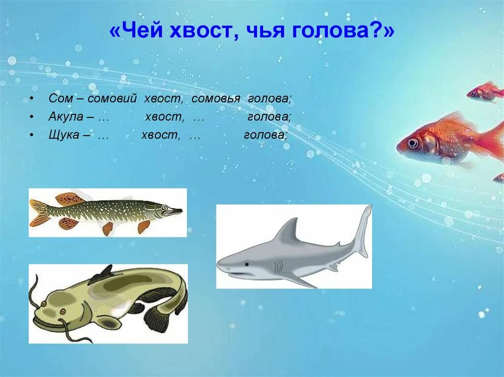 Презентация рыбки для дошкольников. Рыбка для презентации. Презентация рыбки для дошкольников. Презентация рыбы для дошкольников. Презентация рыбки для дошкольников.