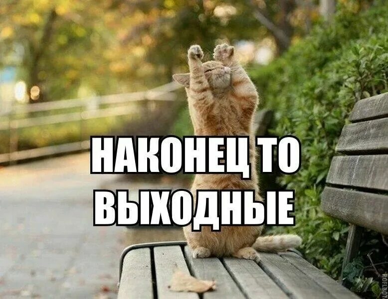 Впереди работа