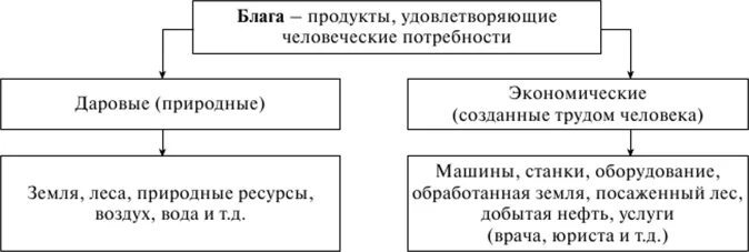 Система жизненных благ