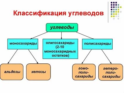Классы углеводов таблица биология