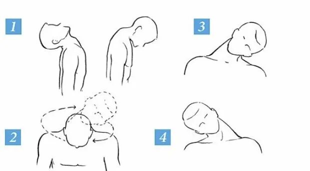 Наклоны головы из стороны в сторону. Повороты головы в стороны. Наклон головы влево. Поворот головы. Наклоны головы.