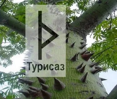 Руна турисаз значение