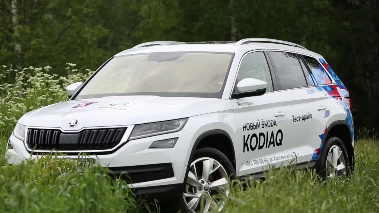 Шкода Кодиак. Skoda Kodiaq 2021 Silver. Шкода Кодиак 2024. Шкода Кодиак белый. Купить кодиак с пробегом на авито