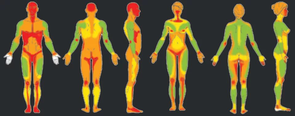 Больные места у человека. Самые больные места на теле. Зоны боли тату. Самые чувствительные зоны на теле человека. Болевые места.