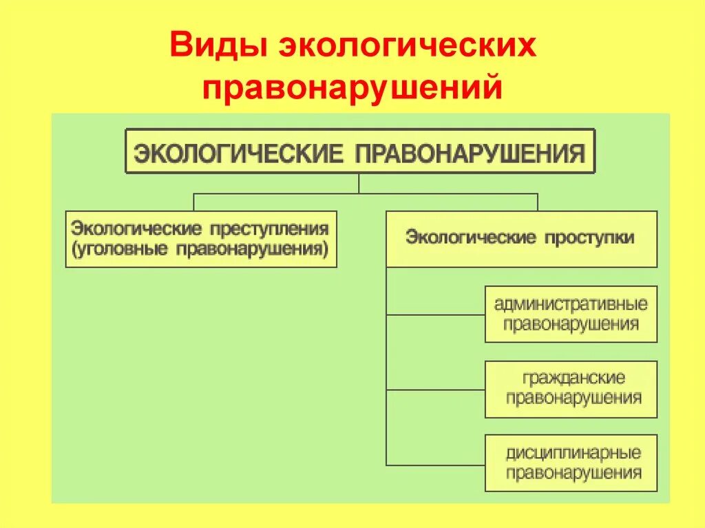 Экологическое право виды правонарушений. Юридическая ответственность за экологические правонарушения схема. Виды экологических правонарушений. Понятие экологического правонарушения. Экологические правонарушения разделяются на.