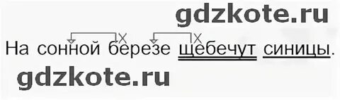 На сонной березе щебечут синицы разбор