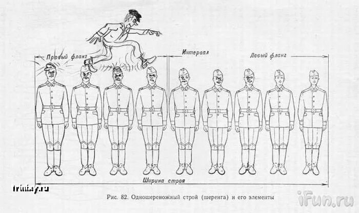 2 элементы строя. Фланг в строю. левый и правый фланг. ширина строя это:. одношереножный строй шеренга и его элементы.