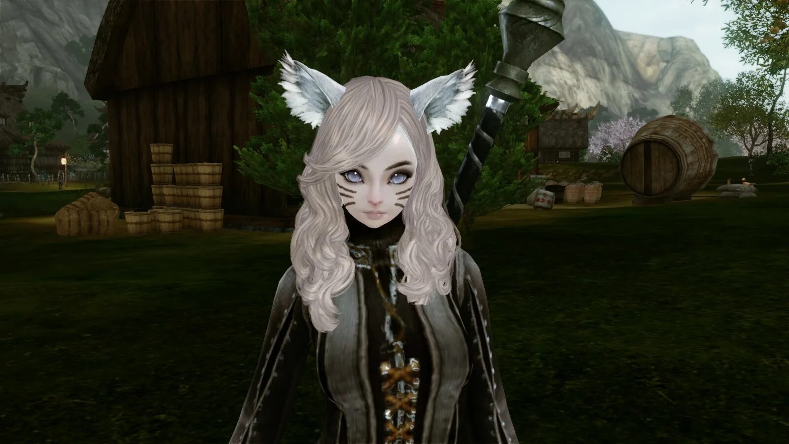 Archeage персонажи. Раса ферре. архейдж расы эльфы. archeage эльфийка. archeage ферре пресеты.