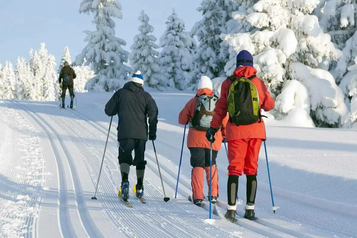 Лыжная прогулка в лесу. Спорт зимой. Девушка на лыжах в лесу. Катается на лыжах беговых. Ходьба катание.