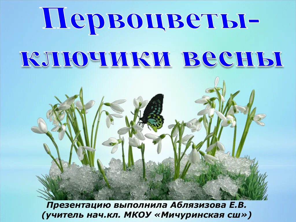 Первоцветы. Первоцвет весенний. Весенние первоцветы для дошкольников. Первоцветы презентация для дошкольников. Первые весенние цветы 2 класс