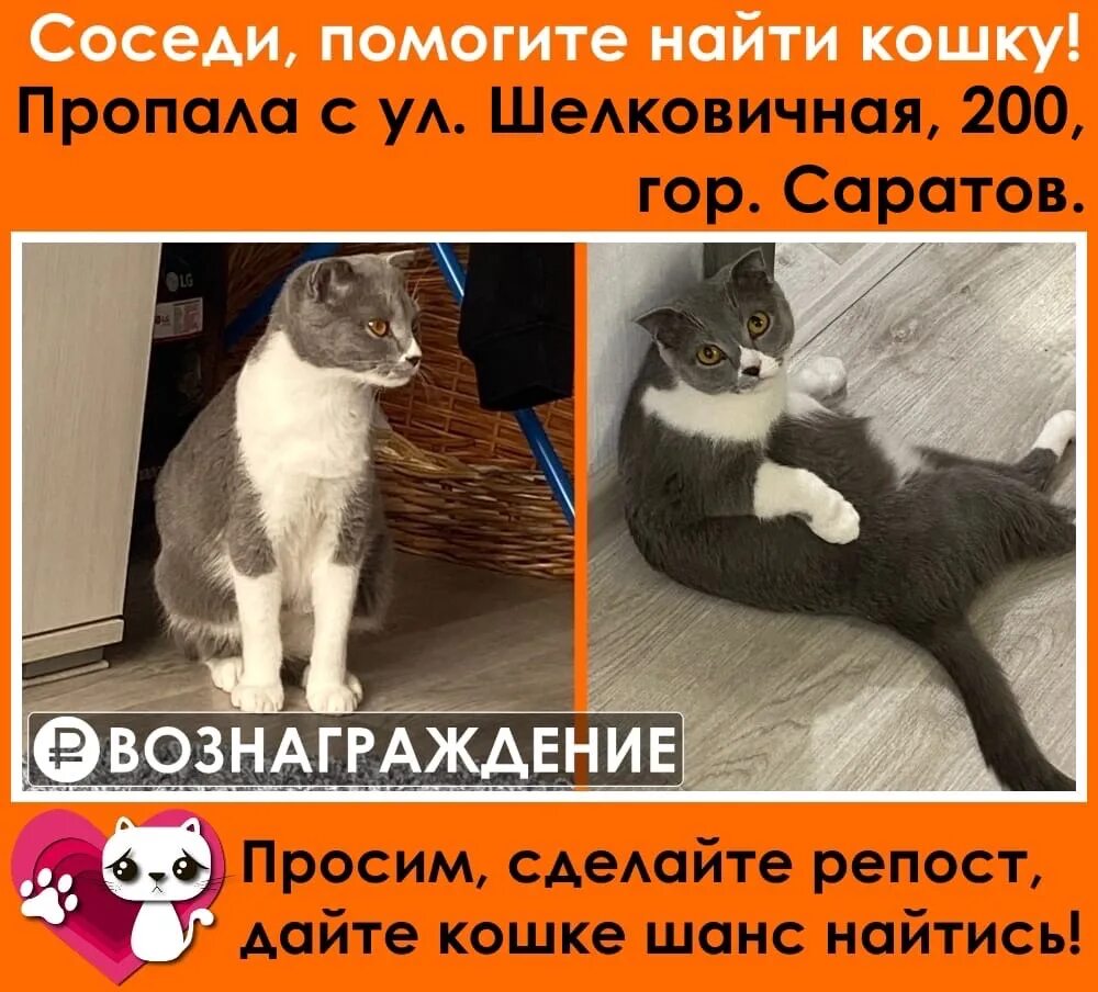 Помогаю репостом. Помогаю репостом