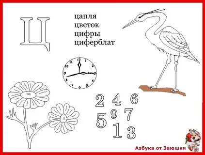 Задания на ц