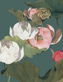 Lands lotus
