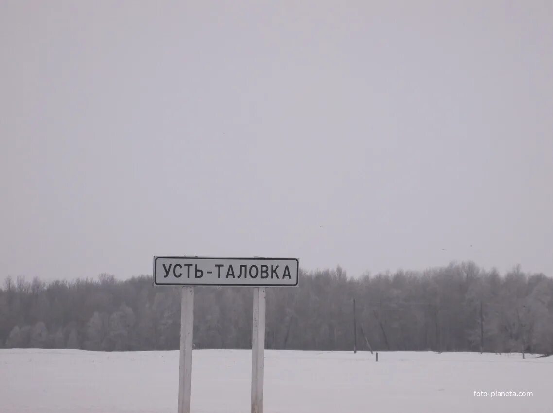Погода в выше таловка. Погода в выше таловка. Село таловка алтайский край. Погода в выше таловка. Усть-таловка алтайский край.