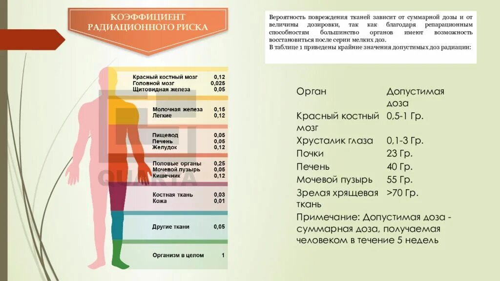 Действие радиоактивного излучения на человека. Влияние радиационного излучения на организм. Действие радиационного излучения на людей. Последствия воздействия радиации на организм человека. Влияние облучения на организм.