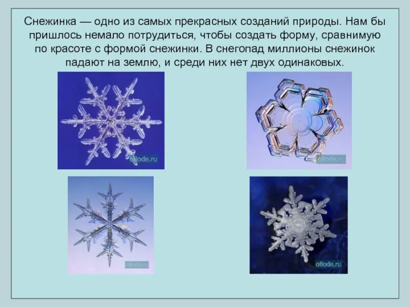 Формы снежинок. Волшебная Снежинка. Проект Снежинка. Снежинки для презентации.