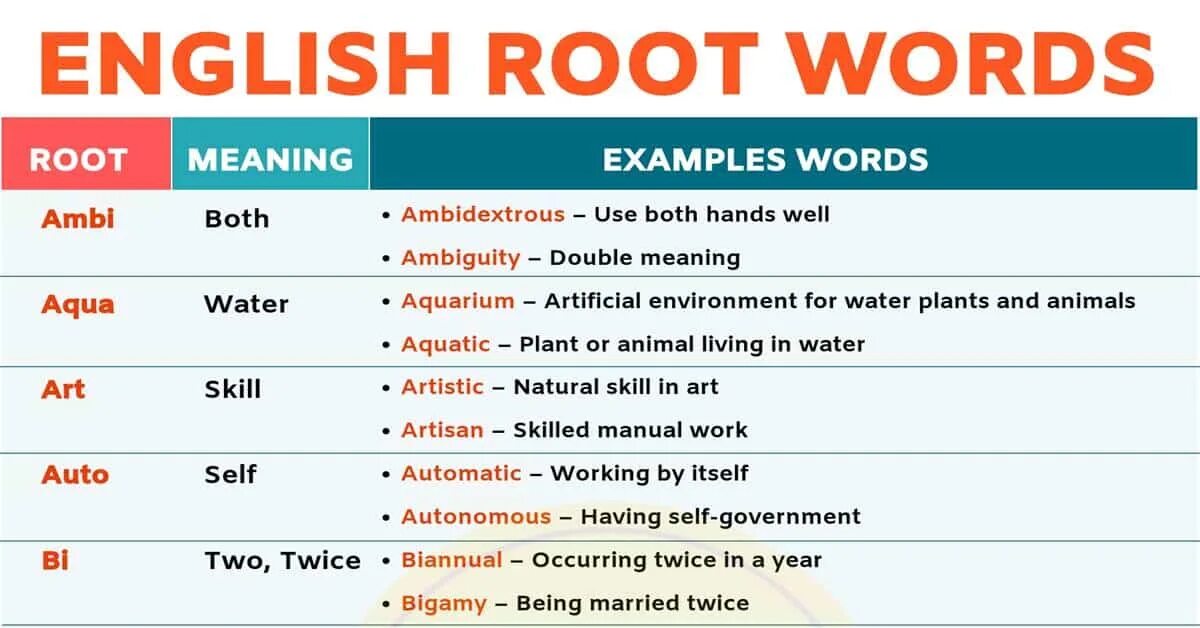 Root Words. Roots in English. Root Words examples. Roots in Words. Explain this words