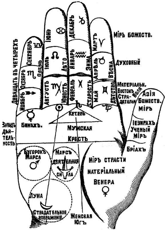 Левая ладонь хиромантия. Рука хиромантия схема. Схема ладони в хиромантии. Хиромантия схема линий на руке. Схема линий для хиромантии.