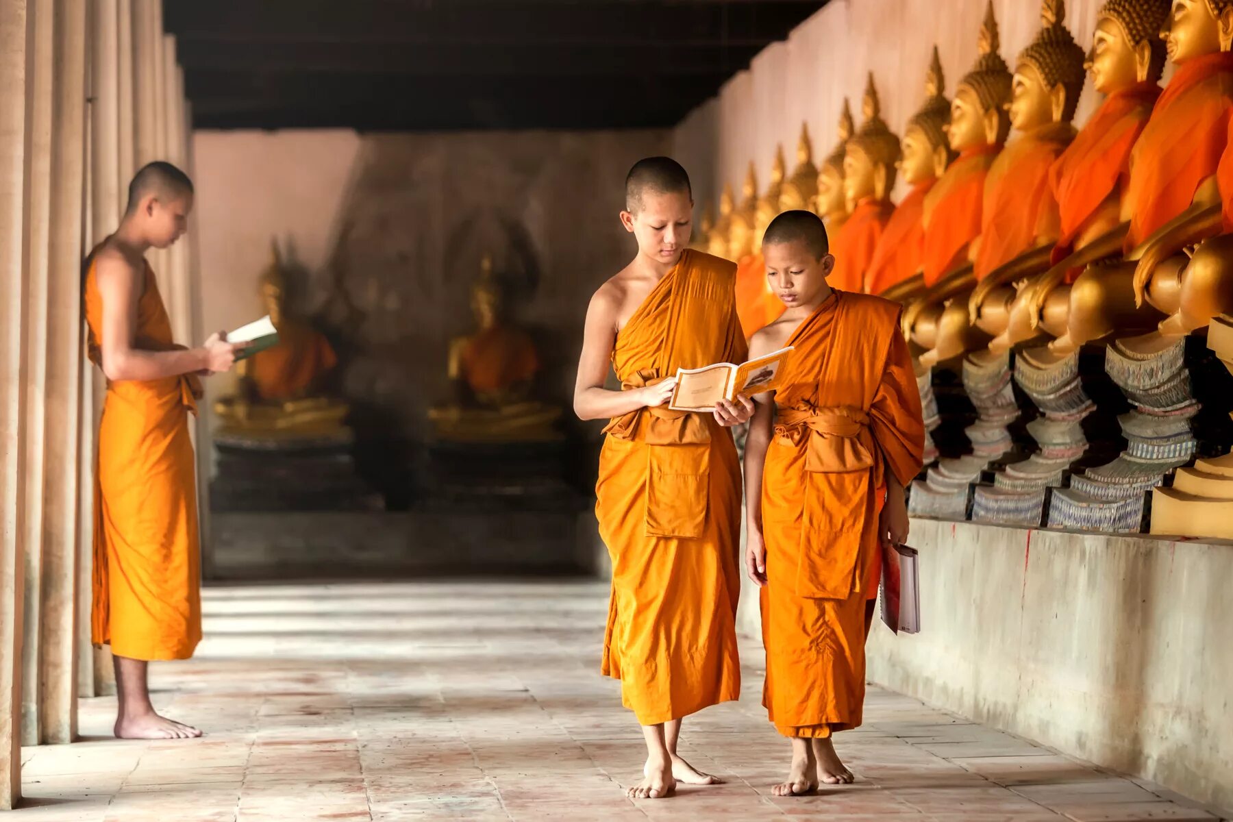 Буддисты. Монахи Тхеравада. Буддизм Тхеравада. Буддийский монах. Буддийские ученики.