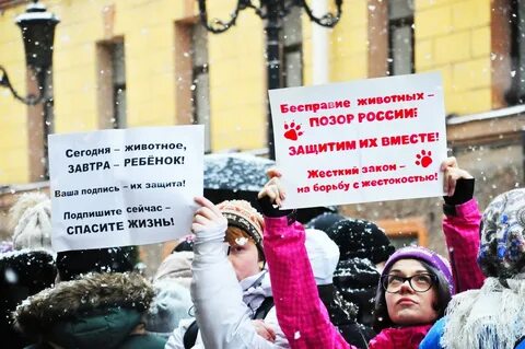 Защитить подписать