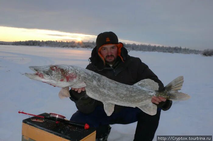 Рыбалка на севере главная архангельск. Соната тур рыбалка на севере Архангельск. Рыбалка на севере Главная. Карелия зимой рыбалка. Северный Рыбак.