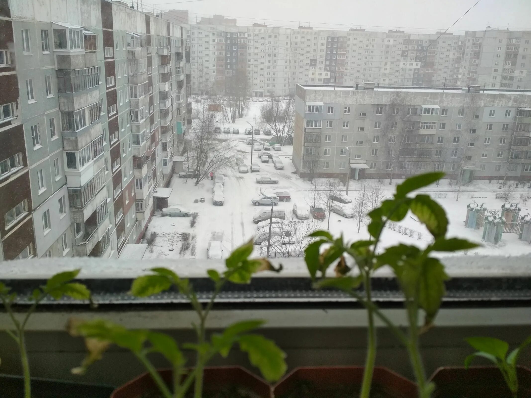 Ярославль первый снег. Снег в Ярославской области. 29.04.22 Выпал снег в Ярославле. Ночью выпал снег и пока мы спали