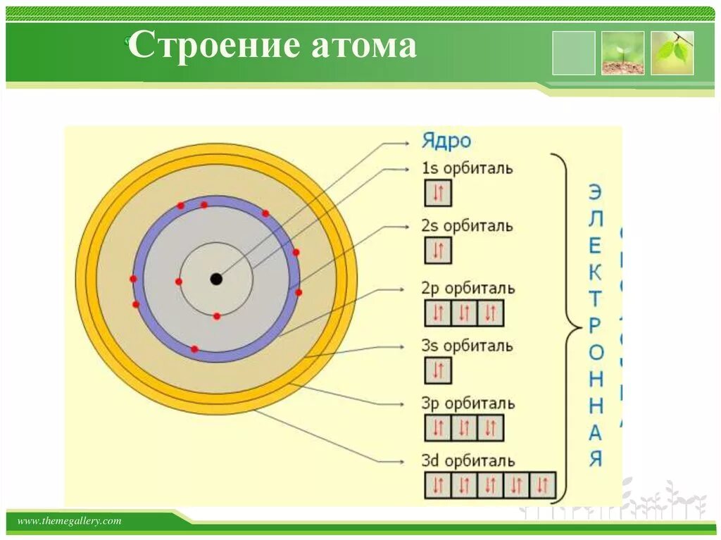 Строение атома 5 группы. Неорганическая химия строение атома. Строение электронных оболочек атомов золота. Строение атома золота схема. Особенности строения атома схема.