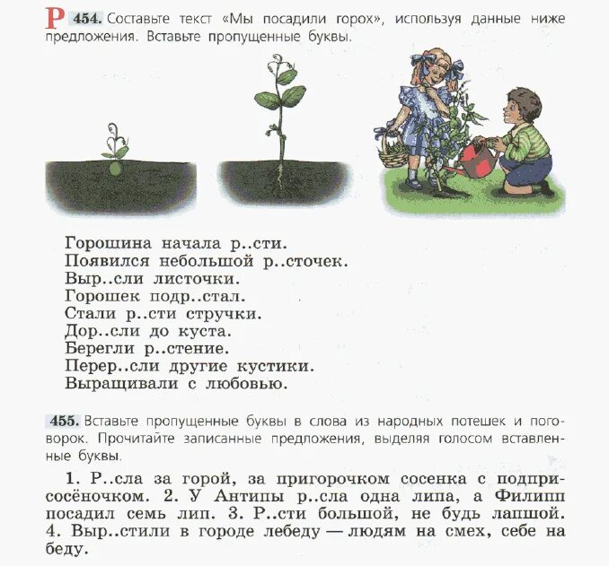 Горошина начала расти появился крохотный росток. Морфемика орфография культура речи. Культура речи Морфемика орфография речи 5. Посадили мы горох стих. Русский язык горошина начала расти.