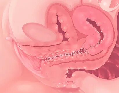 Cross Section X Ray Internal View Gif My XXX Hot Girl.