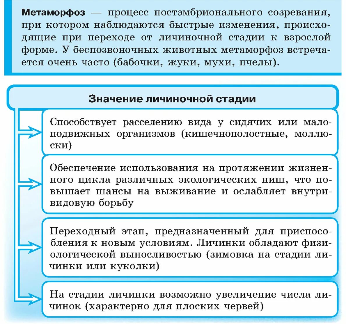 В чем заключается биологическое значение личиночной стадии. Значение личиночной стадии. биологическое значение личиночной стадии развития. значение личиночных стадий. биологический смысл личиночной стадии.