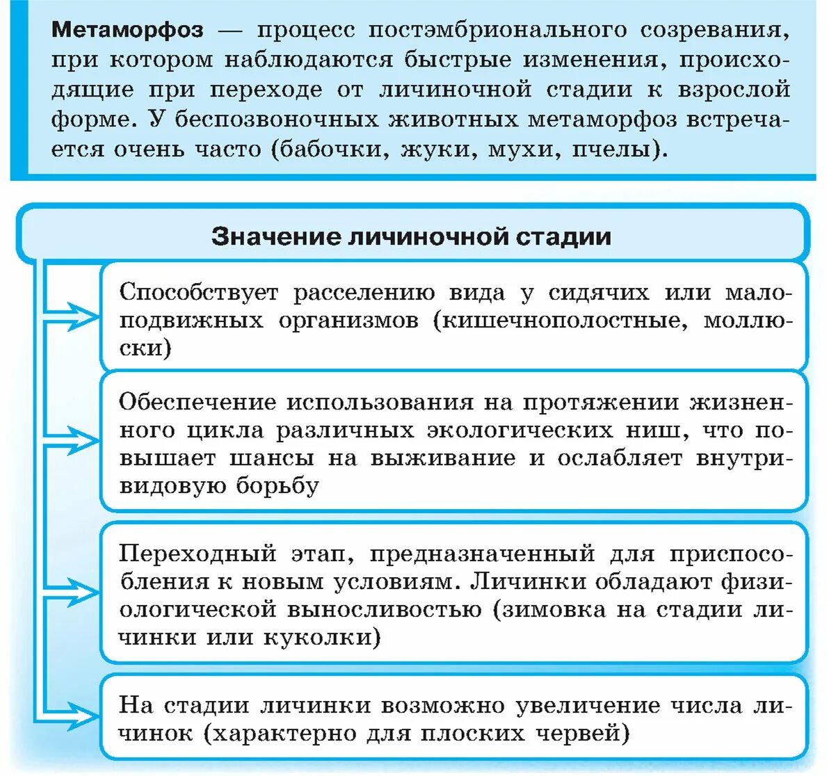 По этапу что значит. Значение личинной стадии. Значение личиночной стадии. Биологическое значение личиночной стадии развития. В чем заключается биологическое значение личиночной стадии развития.