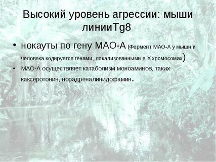 Уровень агрессивности
