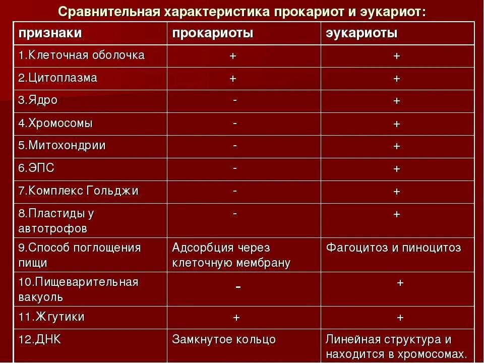 Сходства и различия эукариот. Сравнить прокариоты и эукариоты. Сравнить клетки прокариот и эукариот таблица. Сравнительный анализ прокариот и эукариот. Сравнительная характеристика клеток прокариот и эукариот.