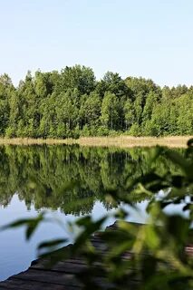 Круглое брянская область