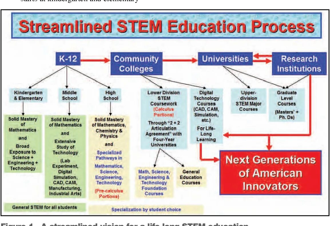 Stem образование. Steam образование. Education process. Расшифровка стем образование. Educational process