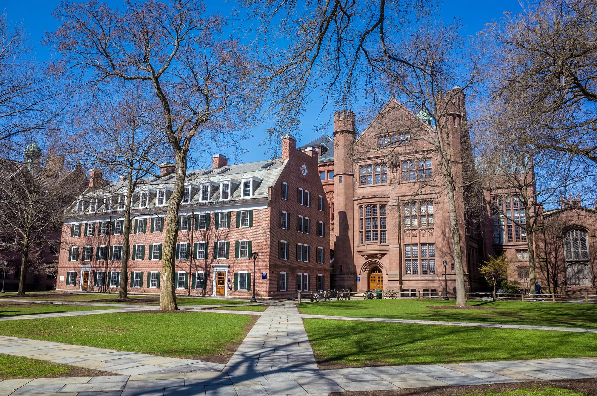 Main university. Йельский университет США. Йельский университет США кампус. Йельский университет. Нью-Хейвен.. Ель университет США.