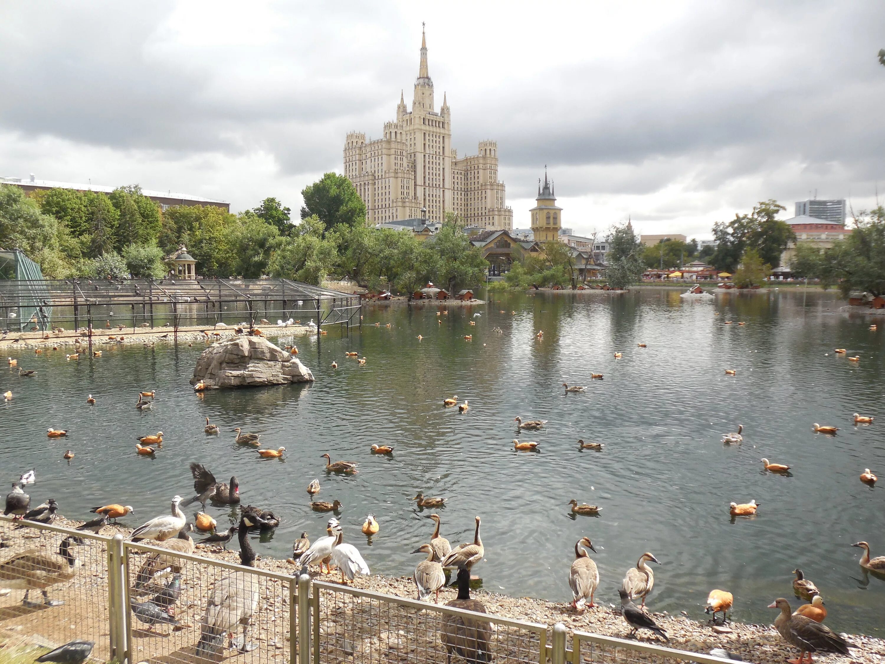 Московский зоопарк открыт. Московский зоопарк пруд. Московский зоопарк озеро. Московский зоопарк Москва. Большой пруд в Московском зоопарке.