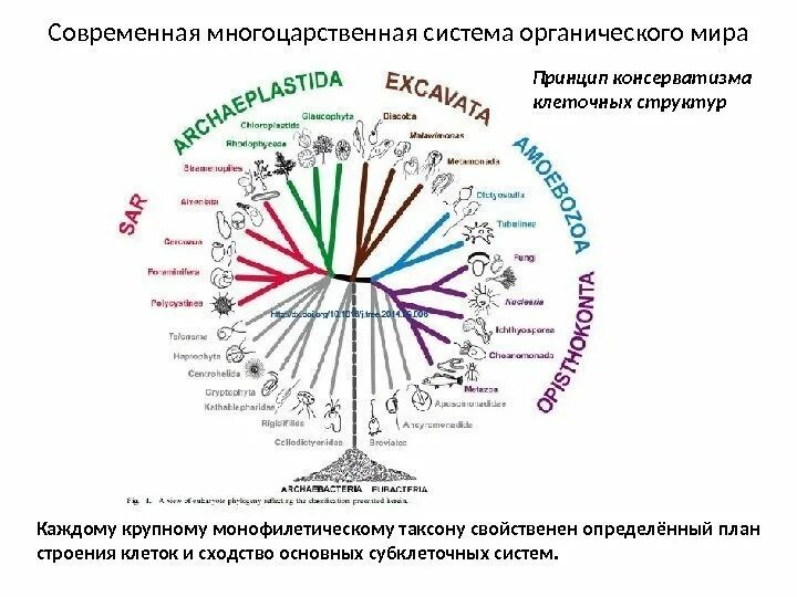 Году будучи систем современных