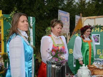 Вестник контакты