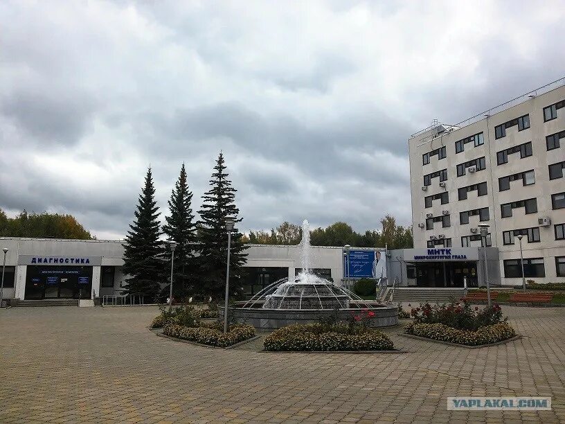 Чебоксарский центр микрохирургии глаза. Чебоксары мнтк микрохирургия. микрохирургия глаза федорова чебоксары. мнтк микрохирургия глаза новосибирск. чебоксары микрохирургия глаза mntk.