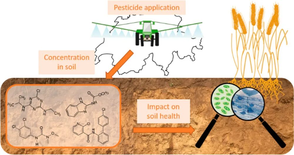 Почвенные пестициды. Пестициды в почве. Воздействие пестицидов на почву. Накопление пестицидов в почве. Пестициды в почве перемещение.