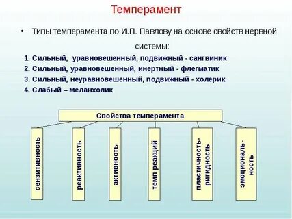 Описать свойства темперамента