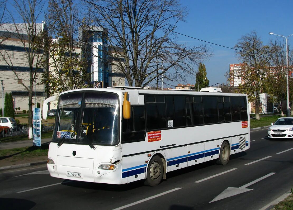 Автобус краснодар сальск. Автобус Краснодар Хадыженск. Автобус 126 Анапа. 126 Автобус Краснодар. Автобус Апшеронск Краснодар 2.