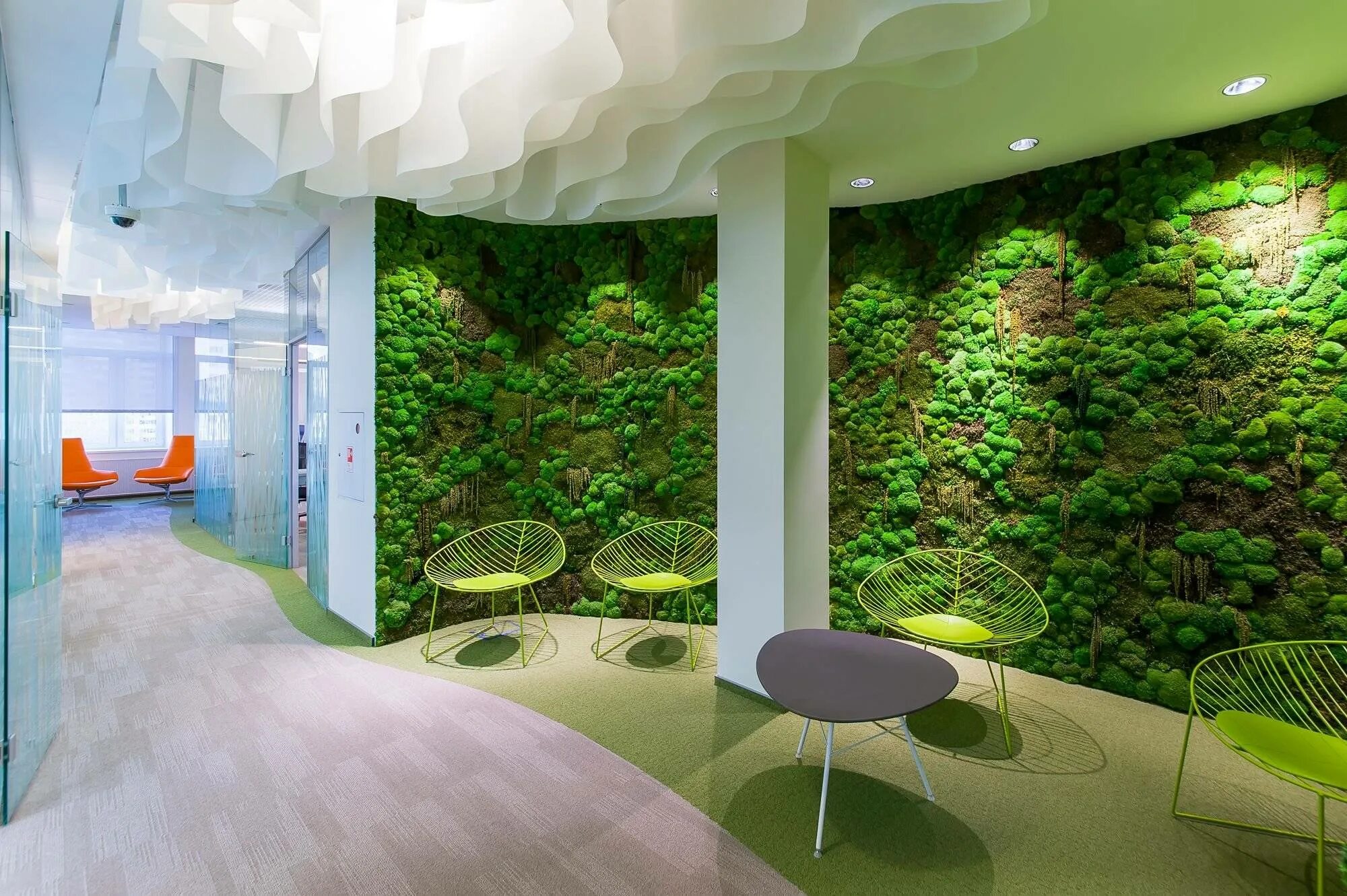 Natural design. Футуризм бионика. Плющ обыкновенный фитостена. Растения экостиль. Мох ягель фитостена.