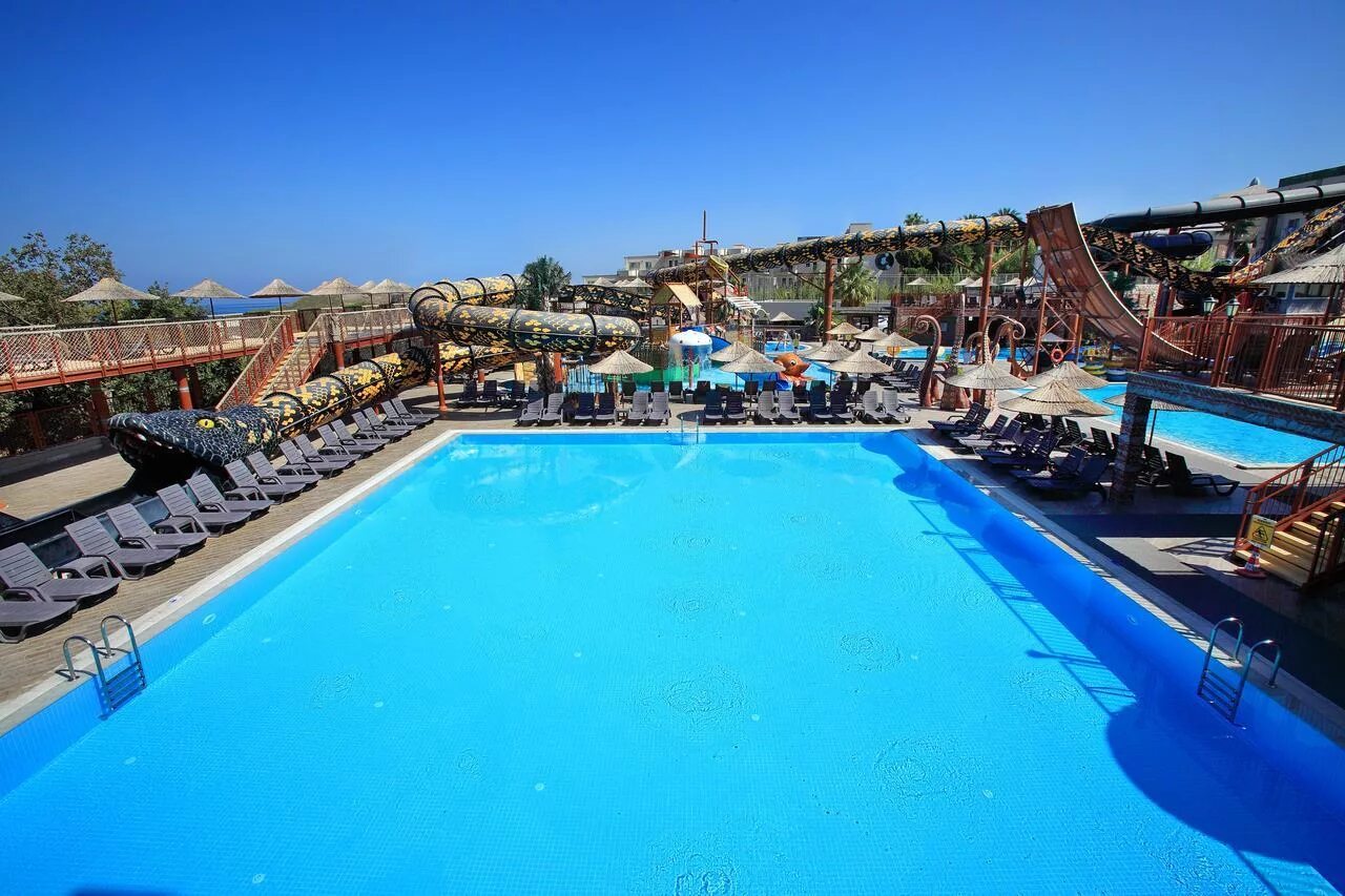 Cactus beach 4. Отель Cactus fleur Beach. Кактус отель Турция Бодрум. Cactus fleur Beach 4 Турция Бодрум. Бодрум отель Кактус Флер.