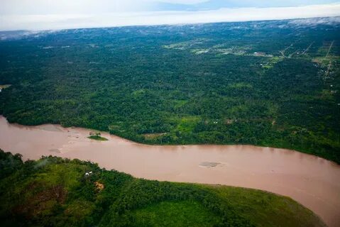 Вода амазонки